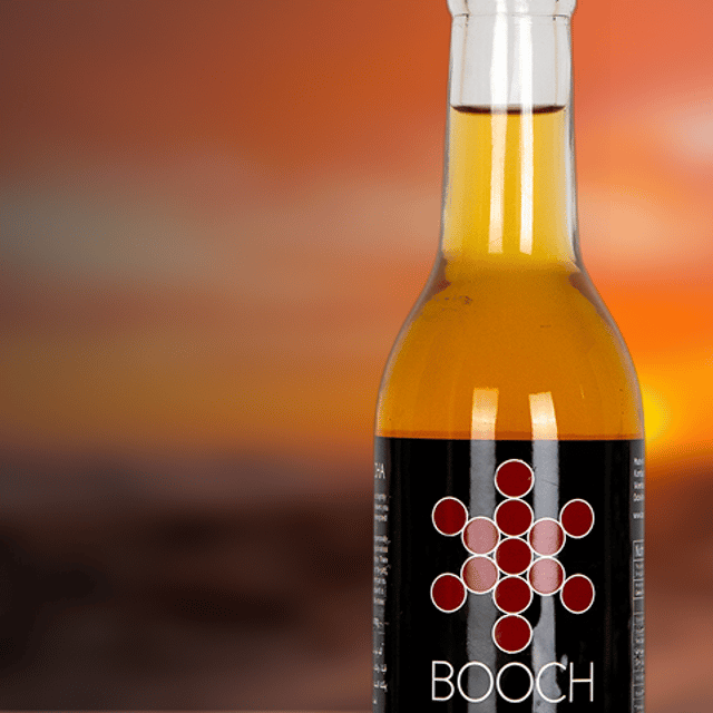 Kombucha