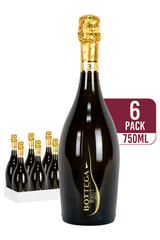 Bottega Millesimato Spumante Brut (6-pack)