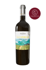 Cantina dell'Angelo Greco di Tufo Torrefavale 2022