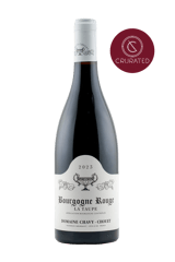 Domaine Chavy-Chouet Bourgogne Rouge La Taupe 2023