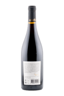 Pere Guillot Morgon 2023