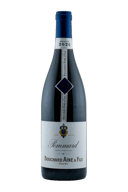 Bouchard Aine & Fils Pommard 2020