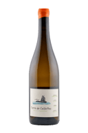 Complices de Loire Pouilly-Fumé Terre de Caillottes 2023