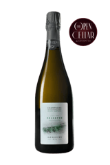 Dehours & Fils Champagne Lieu-dit Brisefer Réserve Perpétuelle Extra Brut