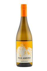 Viña Casa Solís Pico Andino Chardonnay