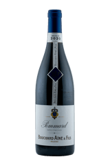 Bouchard Aine & Fils Pommard 2020