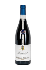 Bouchard Aine & Fils Pommard
