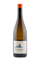 Complices de Loire Pouilly-Fumé Terre de Caillottes 2023