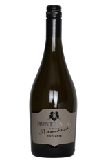 Montelvini Collezione Promosso Frizzante