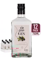 Ginebra San Miguel Premium Gin (12-pack)