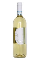 La Piemontina Colline Novaresi Bianco DOC