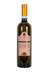 Bottega Pinot Grigio Rosé