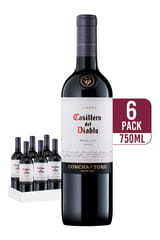Casillero del Diablo Reserva Merlot (6-pack)