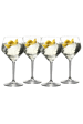 Riedel | Gin Tonic Stemmed Set