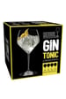 Riedel | Gin Tonic Stemmed Set